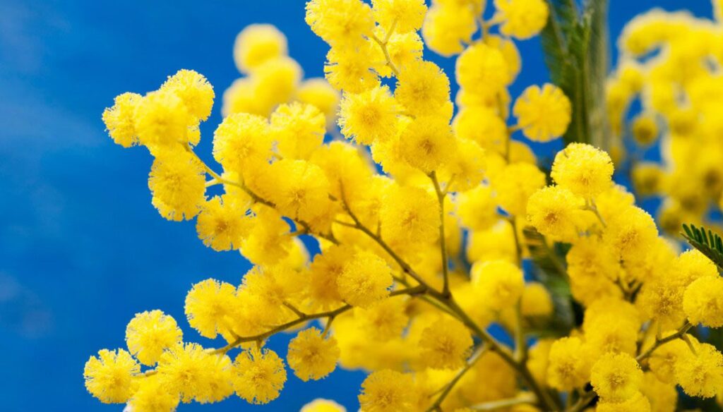 8 marzo 2018, Giornata internazionale della donna