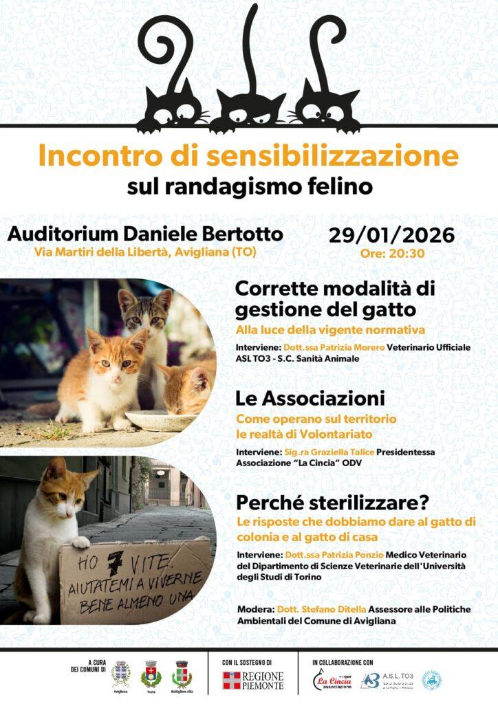 Incontro di sensibilizzazione giovedì 29 gennaio 2026 alle 20,30 all'auditorium Bertotto sul randagismo felino