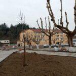 Sono in fase conclusiva i lavori del cantiere di piazza del Popolo. Sui platani storici della piazza è già stata effettuata la potatura