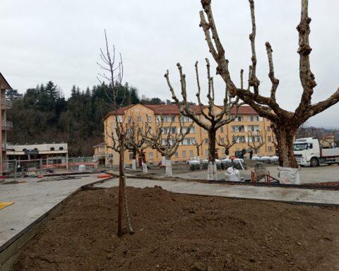 Sono in fase conclusiva i lavori del cantiere di piazza del Popolo. Sui platani storici della piazza è già stata effettuata la potatura